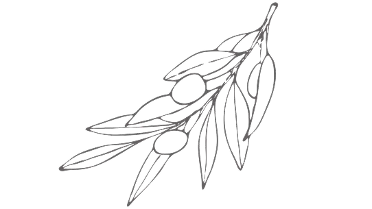 Aceite