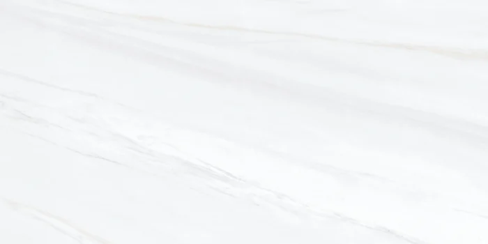 cover-lasa-white-(1)